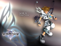 Kingdom Hearts II 10